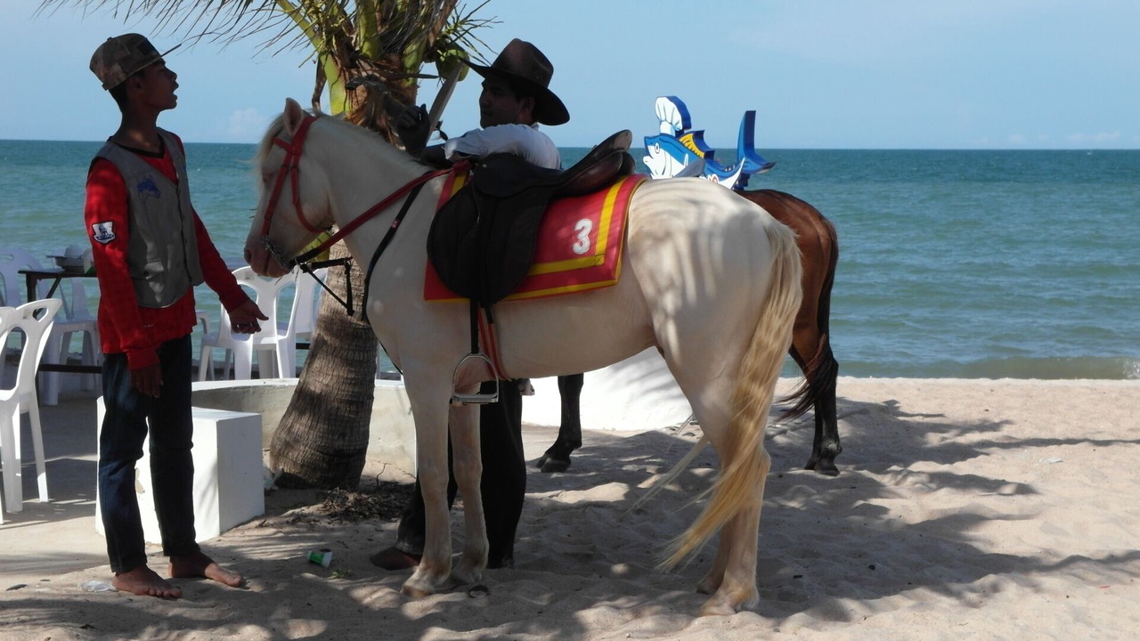 Photo of Others in Hua Hin