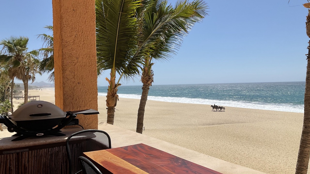 Photo of Others in San Jose del Cabo