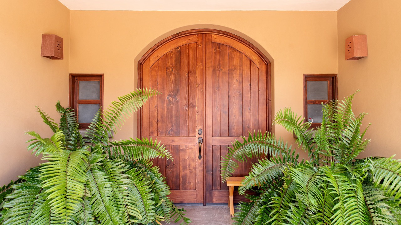 Photo of Others in Todos Santos