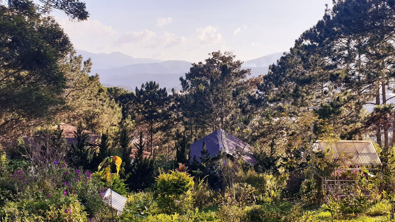 Photo of Others in Da Lat