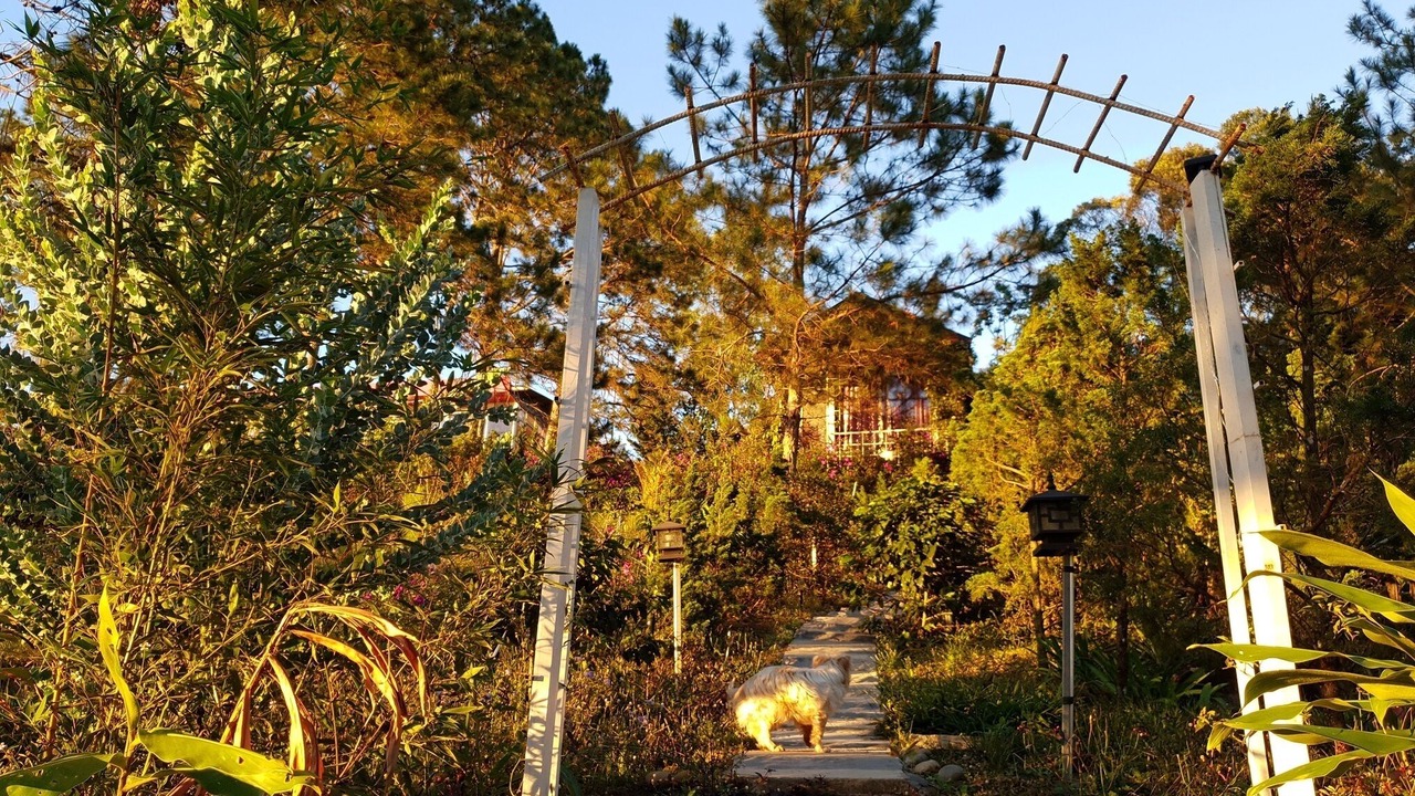 Photo of Outdoor in Da Lat