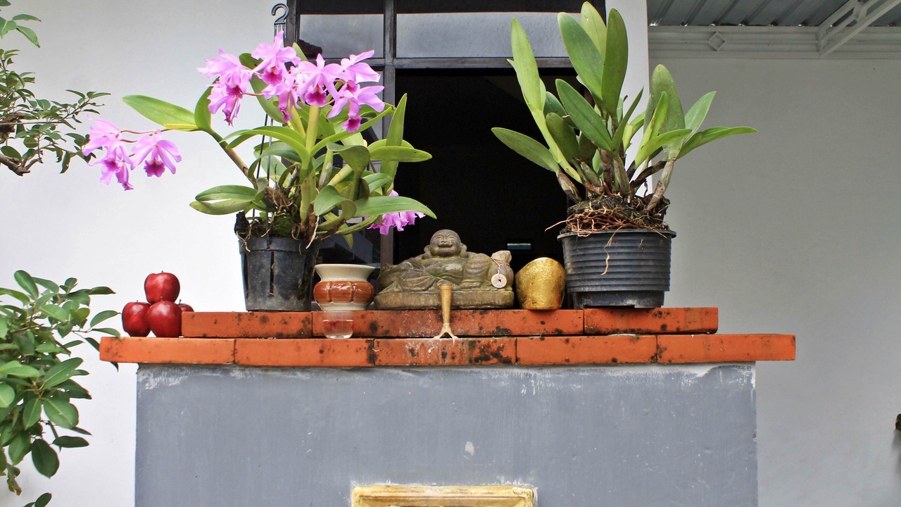 Photo of Outdoor in Gianyar