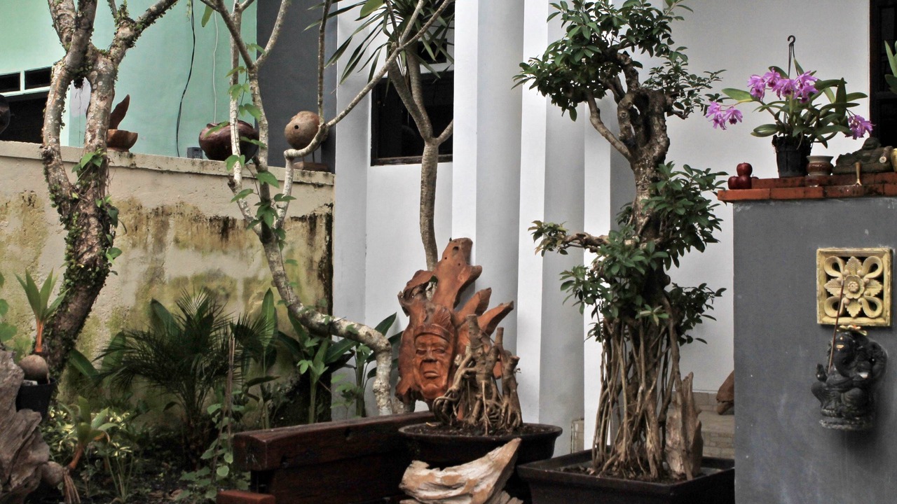 Photo of Outdoor in Gianyar