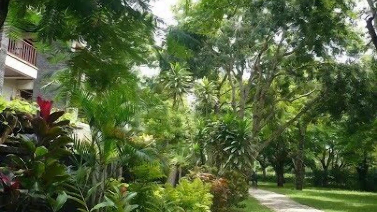 Photo of Outdoor in BTDC