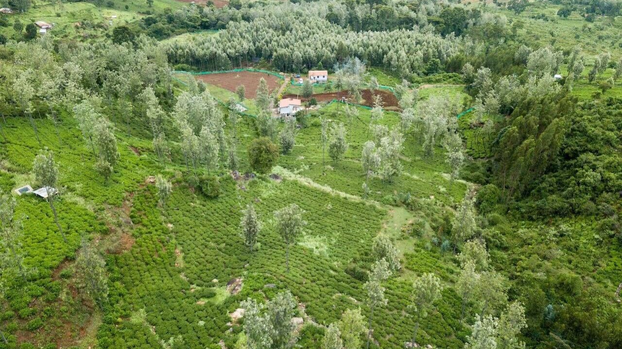 Photo of Outdoor in Wellington