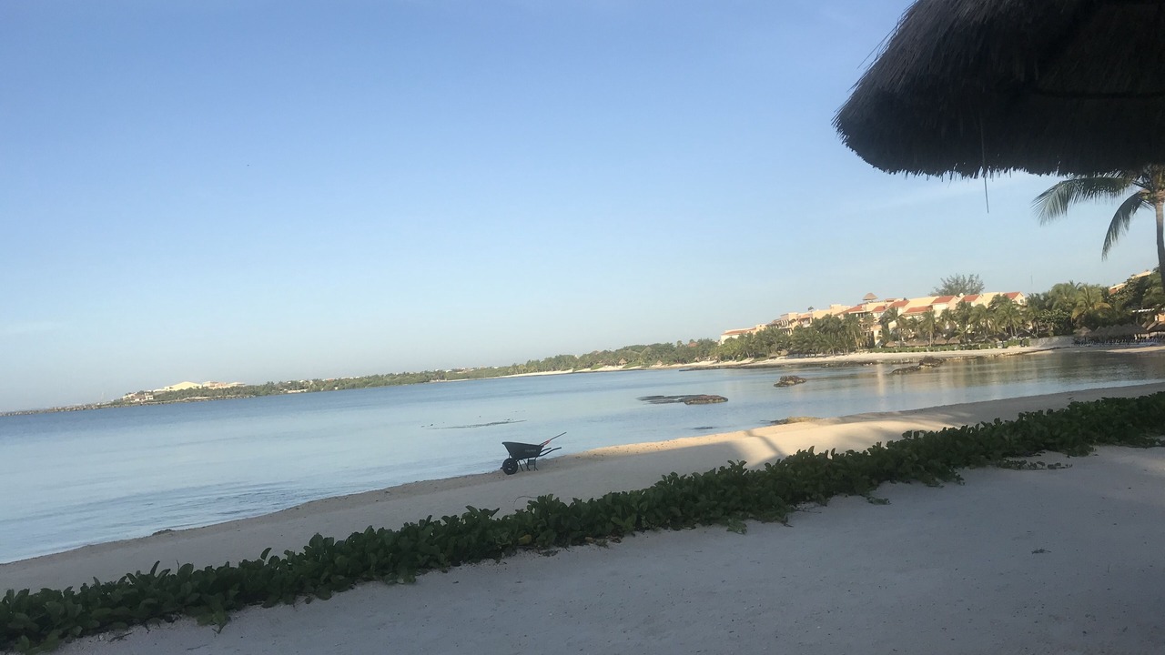 Photo of Others in Puerto Aventuras