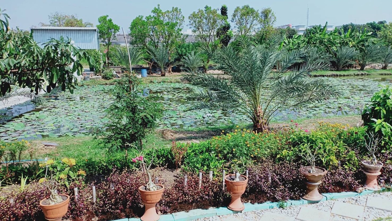 Photo of Outdoor in Bang Chalong