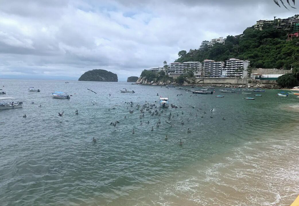 Photo of Others in Mayto