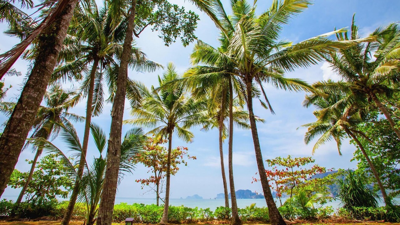 Photo of Outdoor in Sai Thai