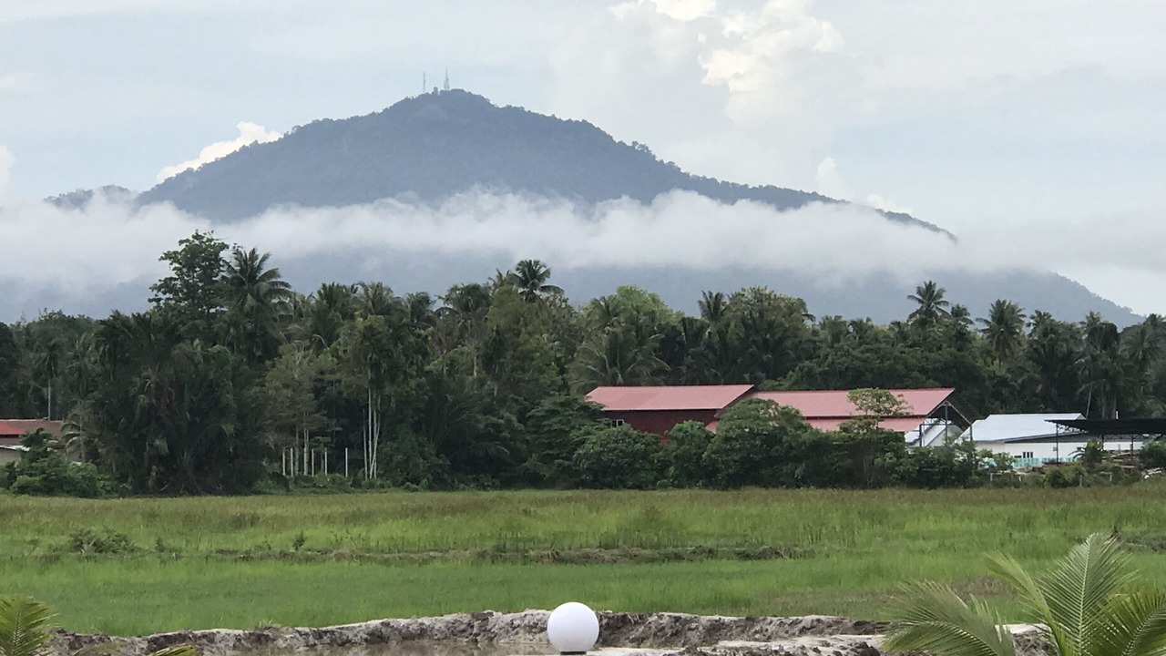 Photo of Outdoor in Kampung Bukit Lembu