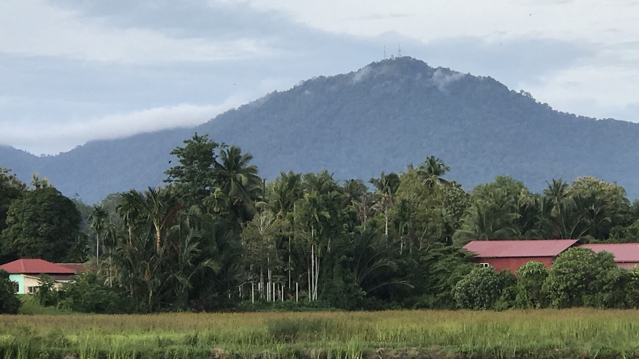 Photo of Others in Kampung Bukit Lembu