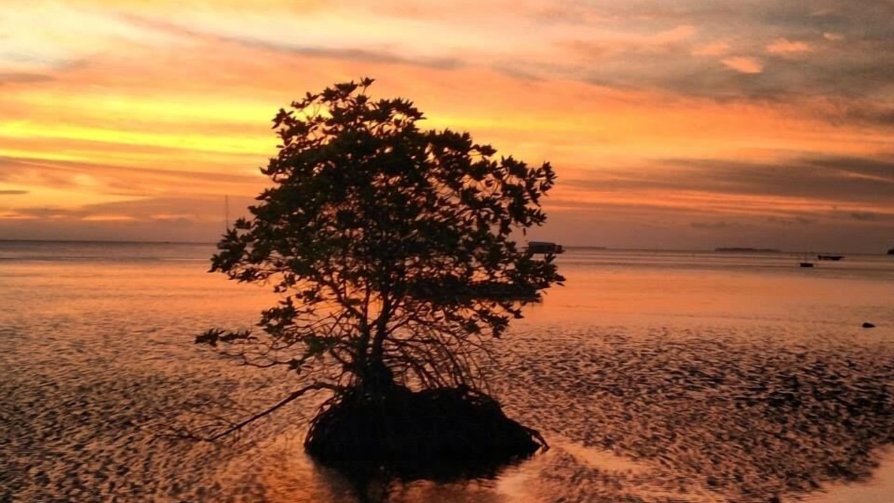 Photo of Others in Karimun Jawa
