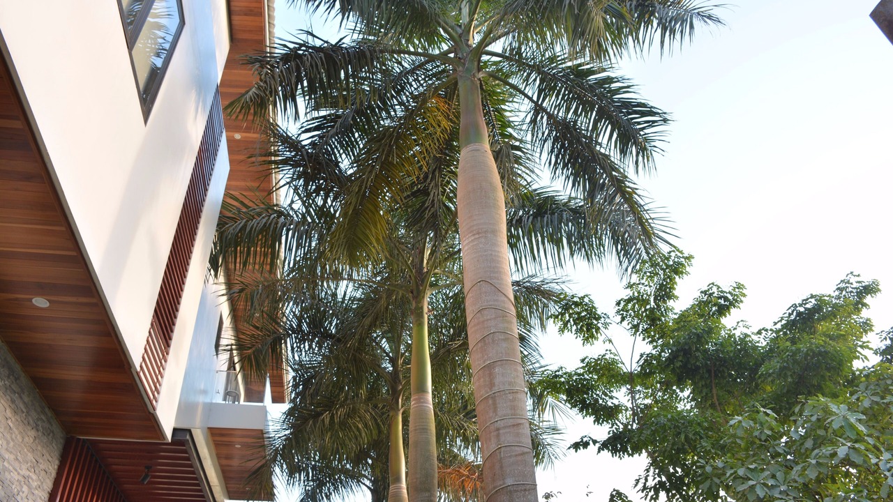 Photo of Outdoor in Thanh Ha