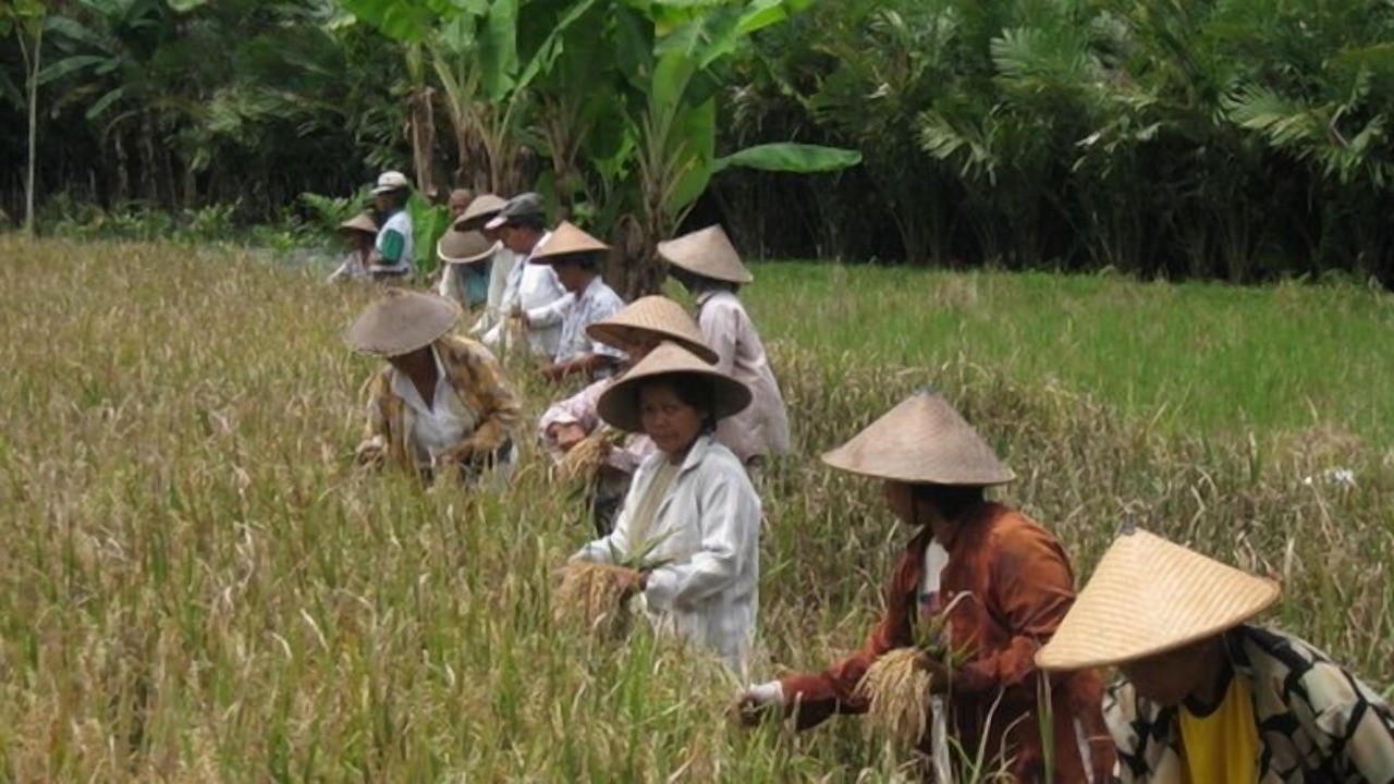 Photo of Others in Pakem