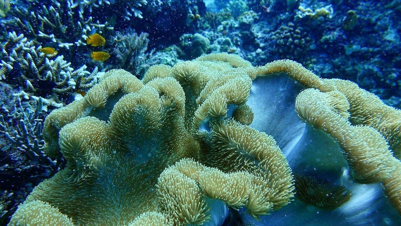 Photo of Outdoor in Labuan Bajo