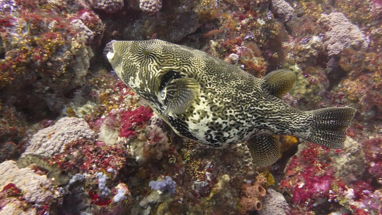 Photo of Outdoor in Labuan Bajo