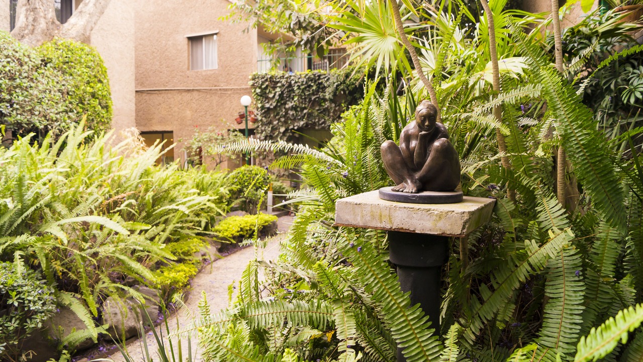 Photo of Outdoor in Coyoacan