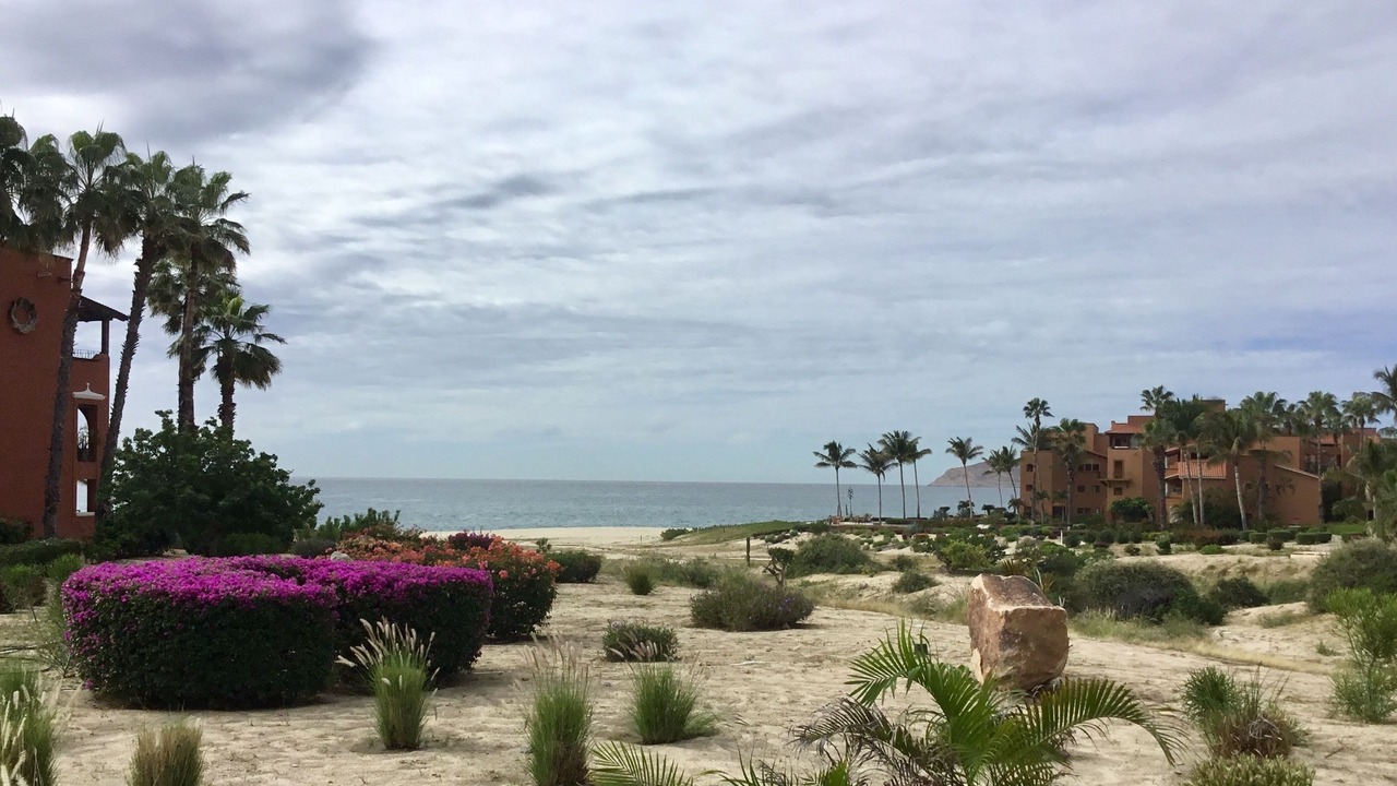 Photo of Others in San Jose del Cabo