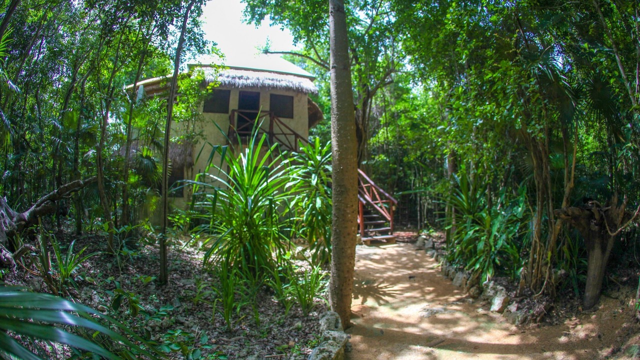 Photo of Outdoor in Akumal