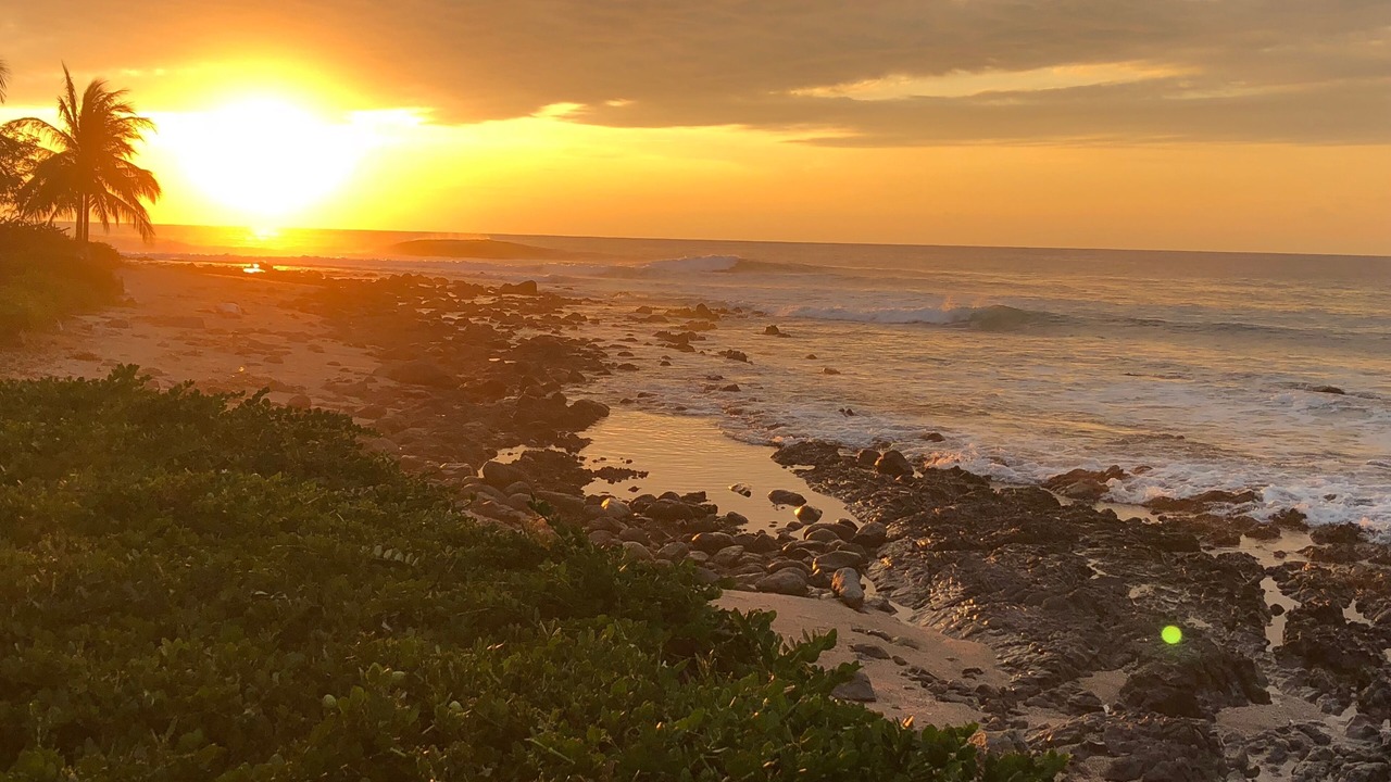 Photo of Others in Troncones