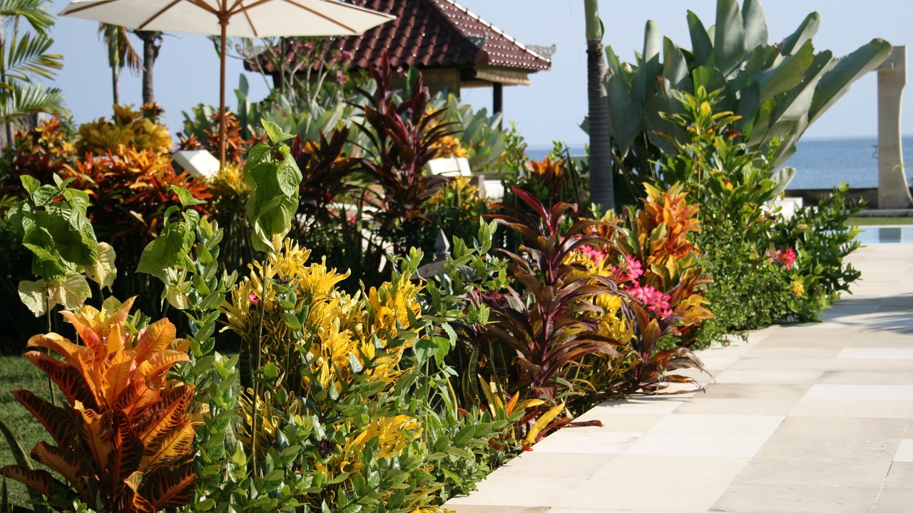 Photo of Outdoor in Gerokgak