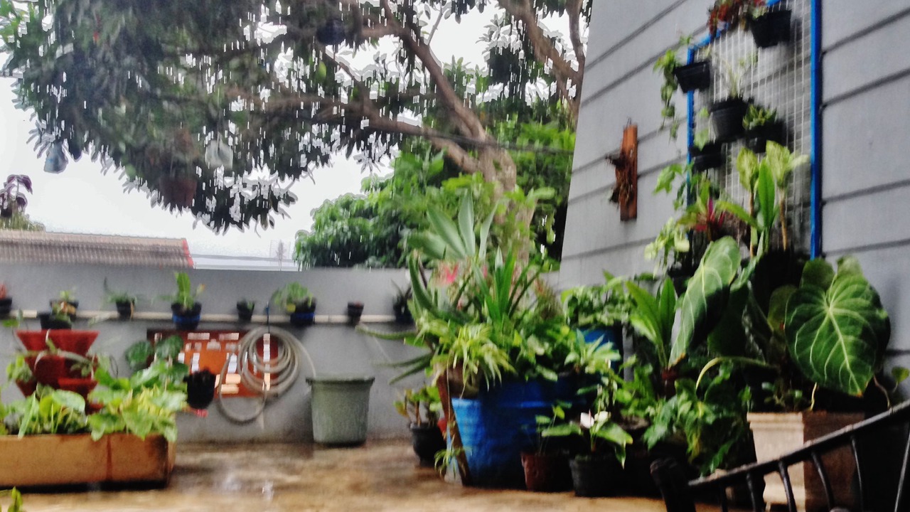 Photo of Outdoor in Arjosari