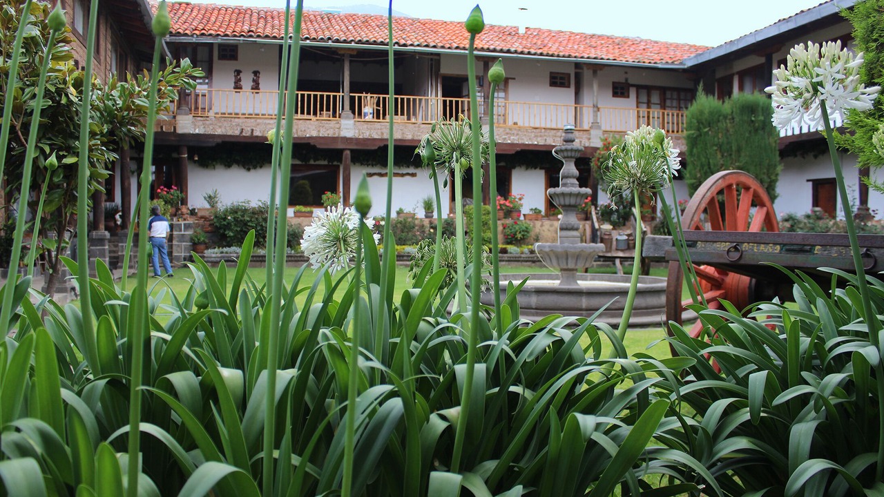 Photo of Outdoor in Jocotitlan