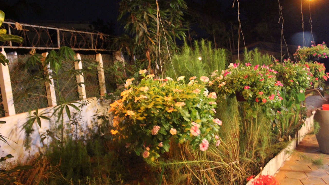 Photo of Outdoor in Siem Reap
