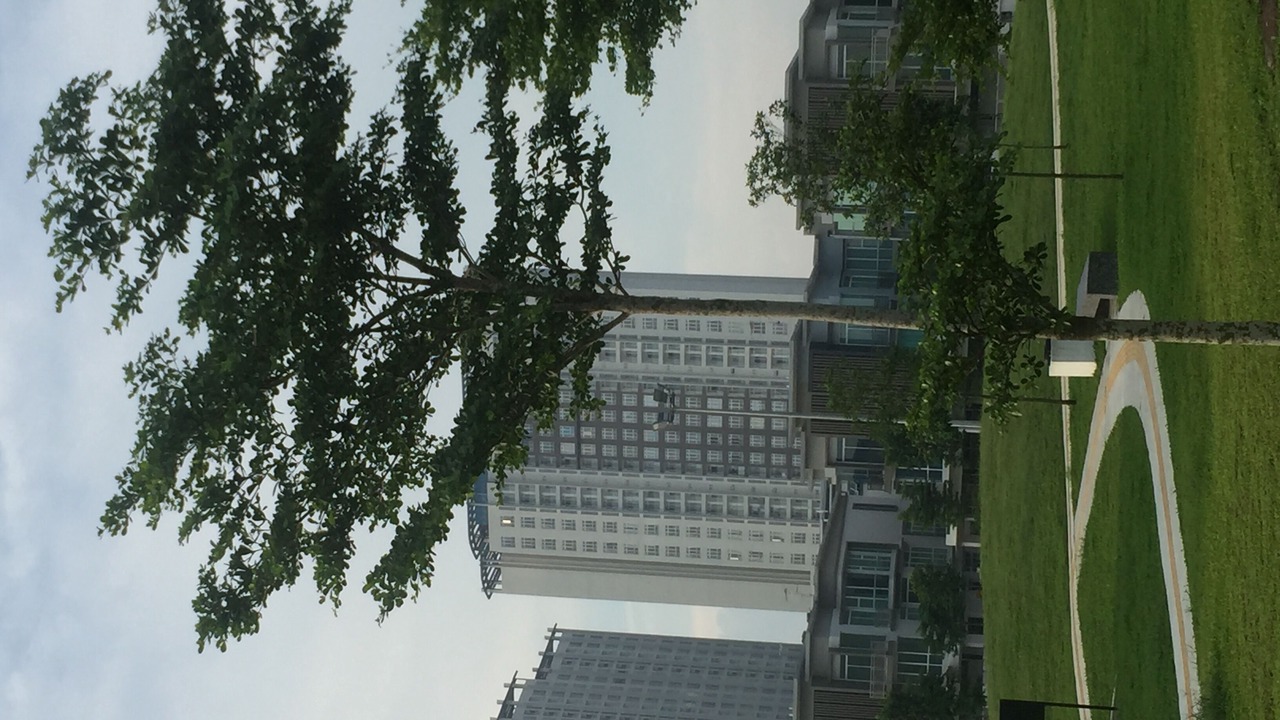 Photo of Others in Johor Bahru