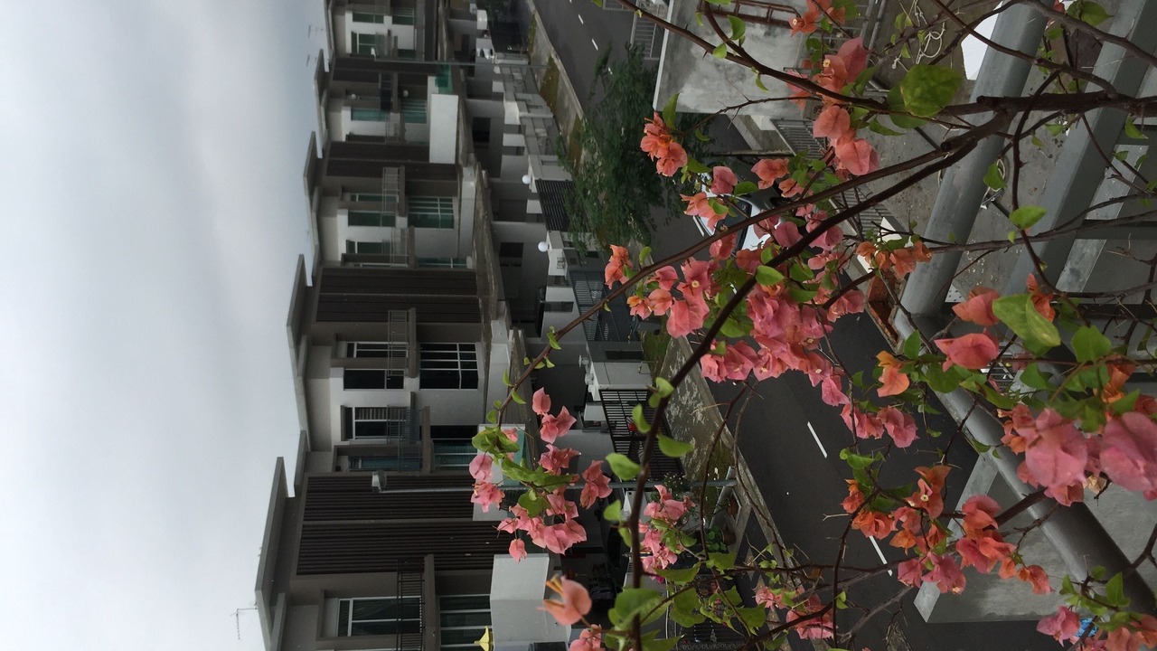 Photo of Outdoor in Johor Bahru