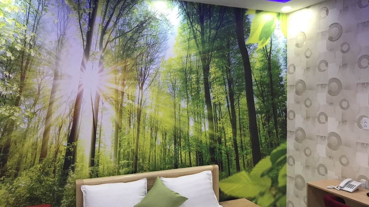 Photo of Bedroom in Bui Thi Xuan