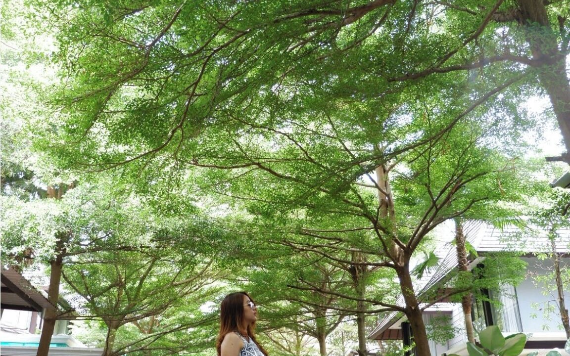 Photo of Outdoor in Mlati