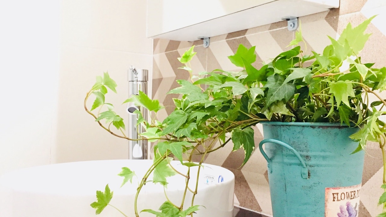 Photo of Bathroom in Hai Chau