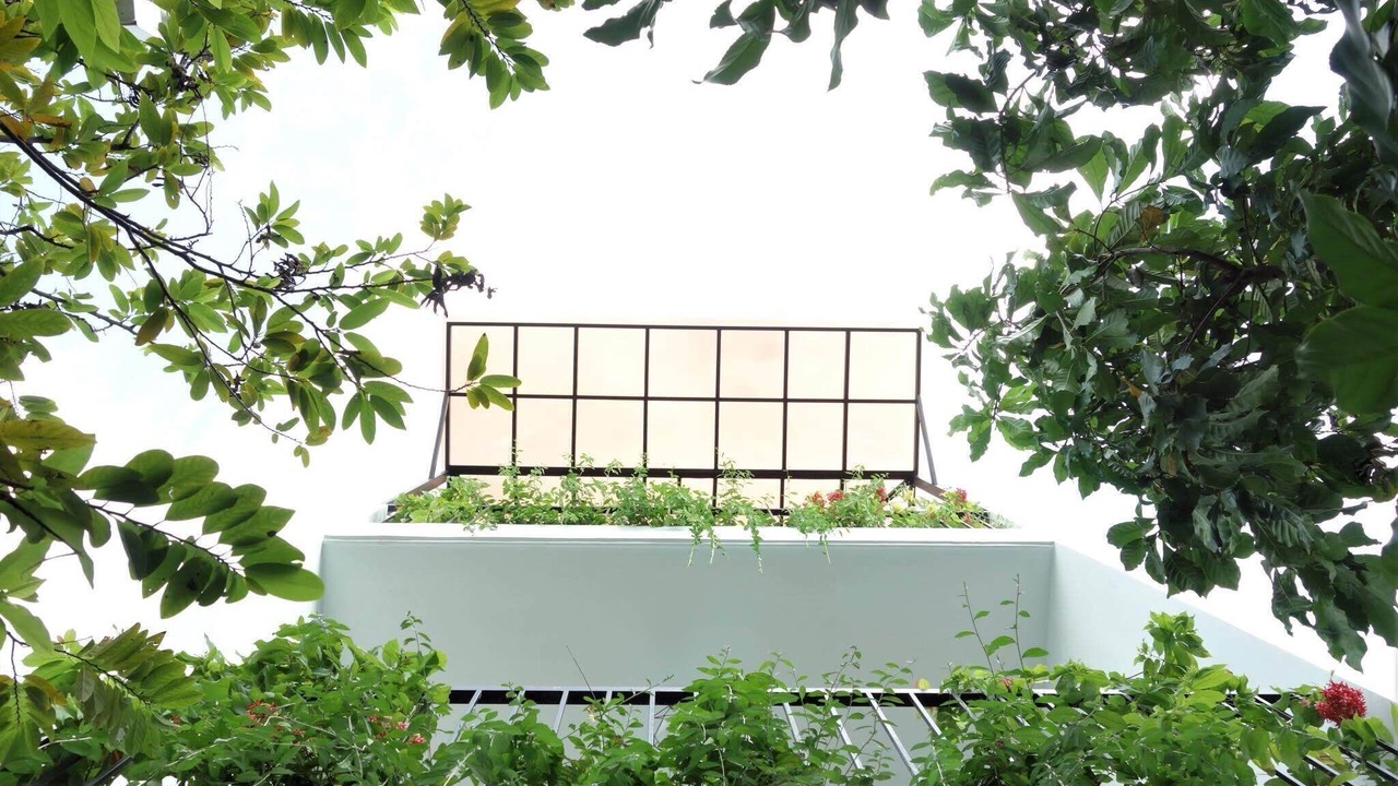 Photo of Outdoor in Hai Chau