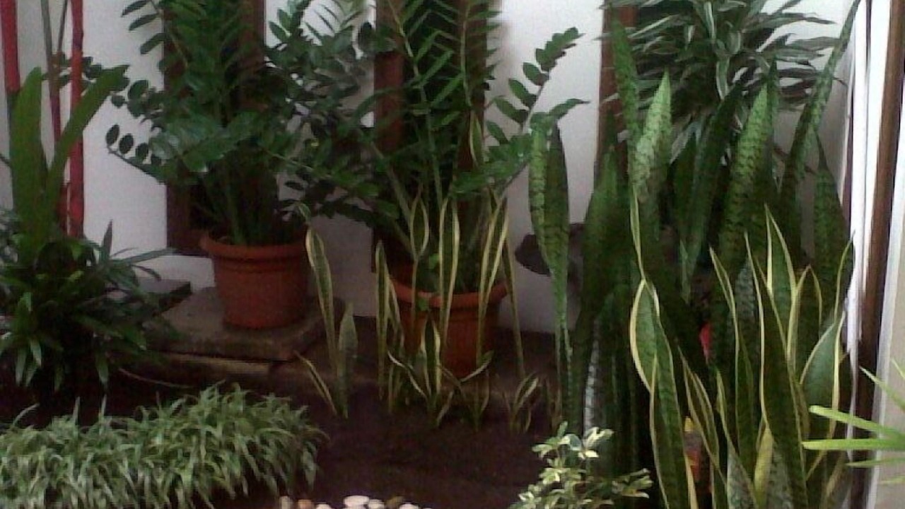 Photo of Outdoor in Bandung