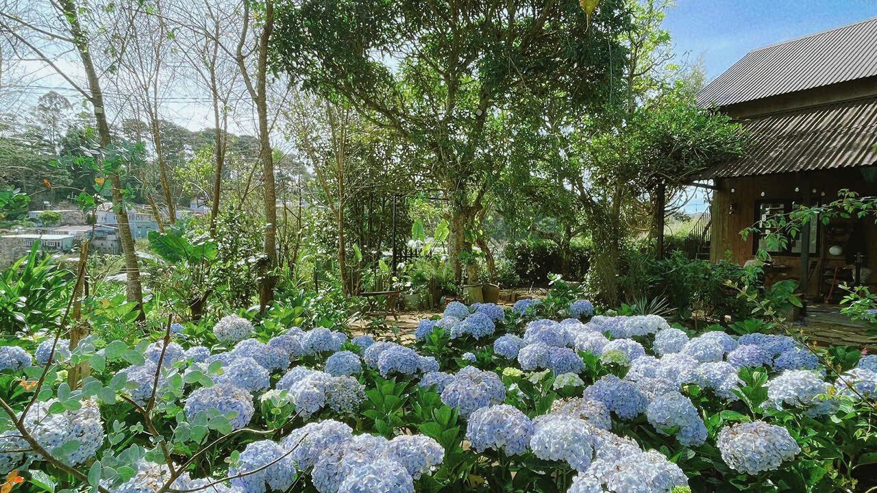 Photo of Outdoor in Da Lat