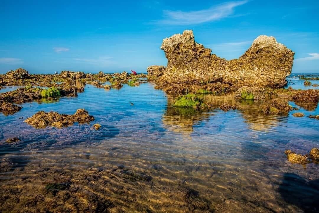Photo of Others in Thuan Nam