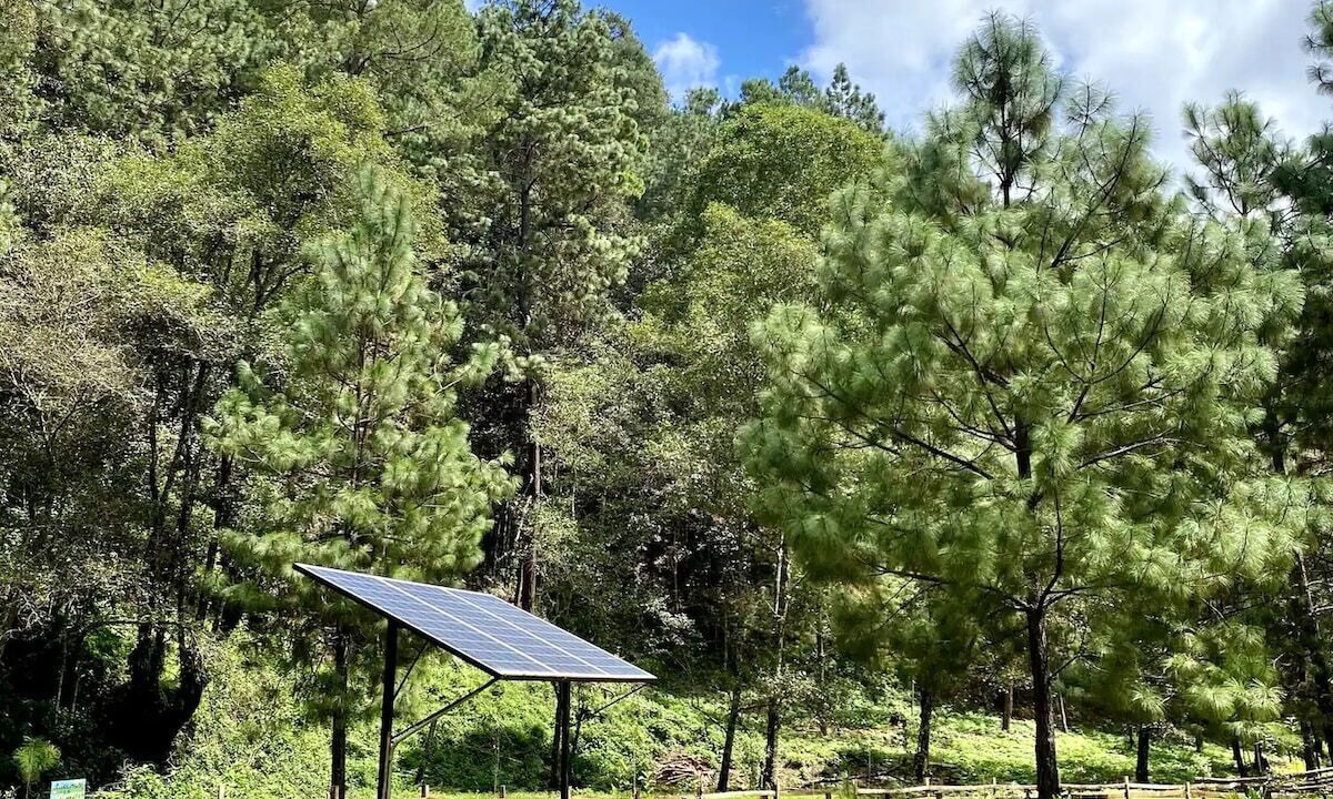 Photo of Outdoor in San Jose del Pacifico