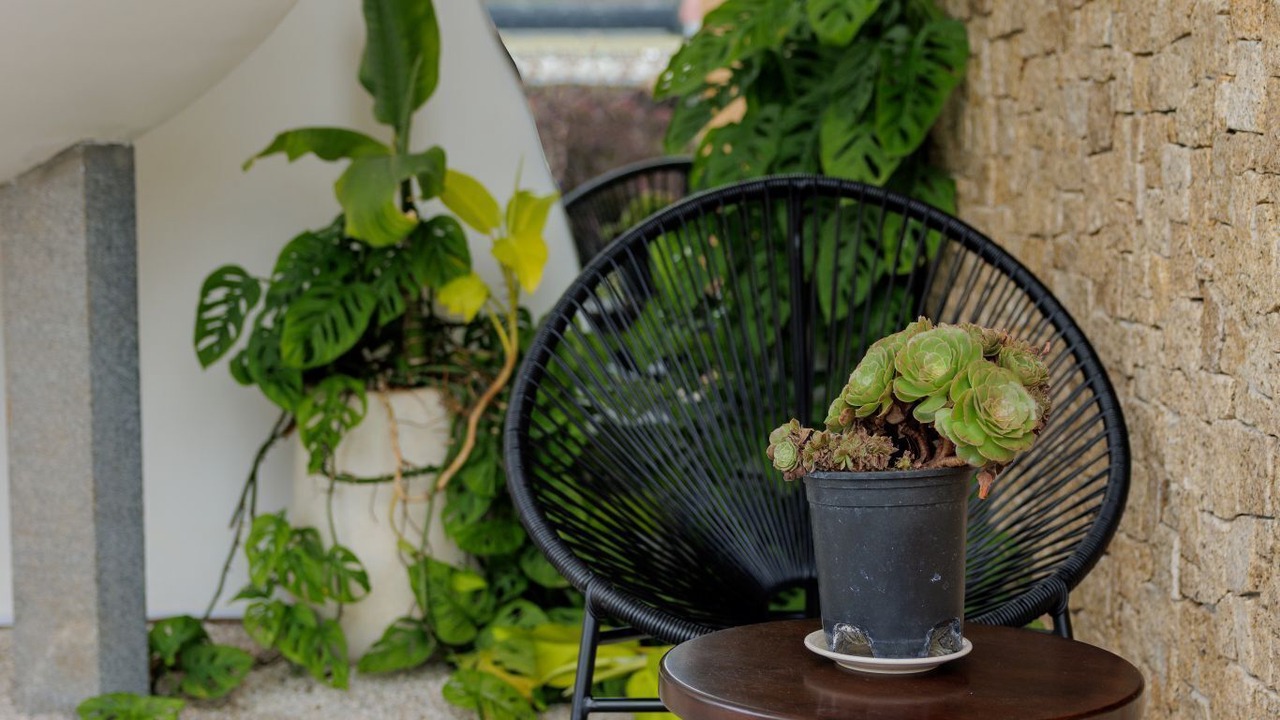 Photo of Patio Balcony in Da Lat