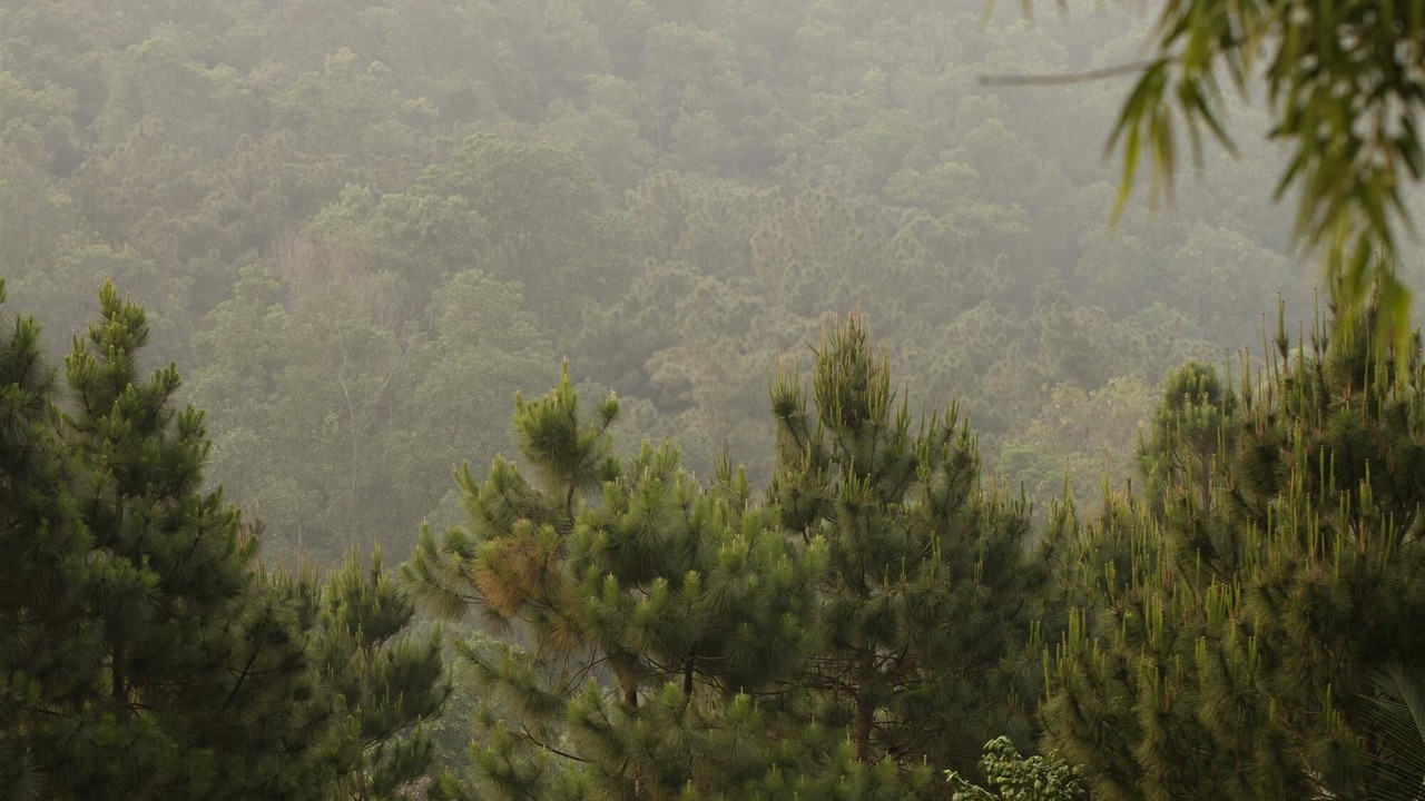 Photo of Outdoor in Soc Son