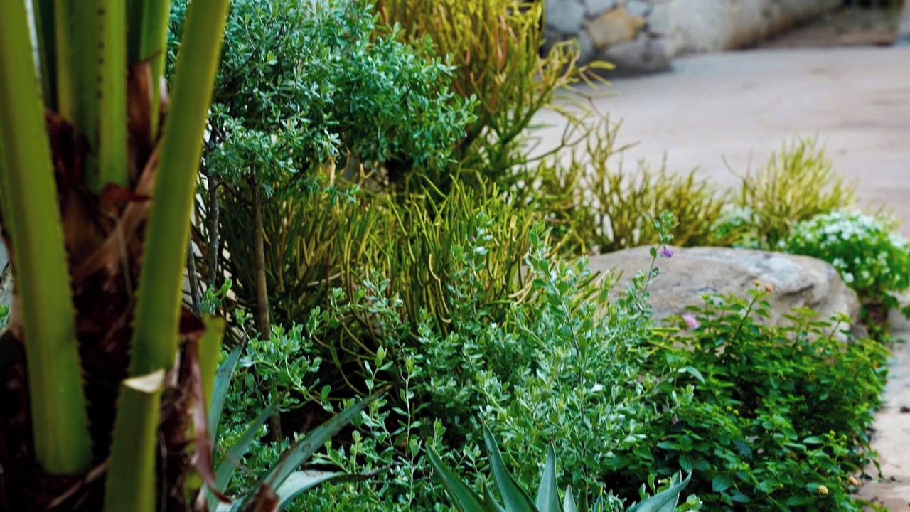 Photo of Outdoor in Soc Son