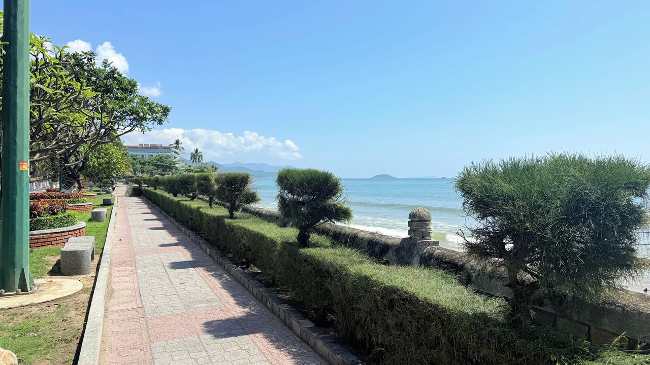 Photo of Others in Tran Phu Beach