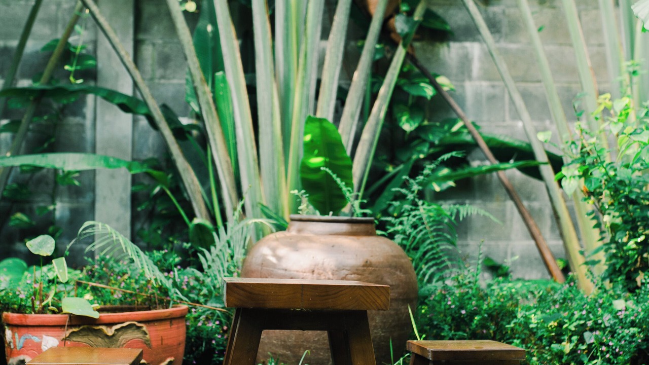 Photo of Outdoor in Hoa Vang