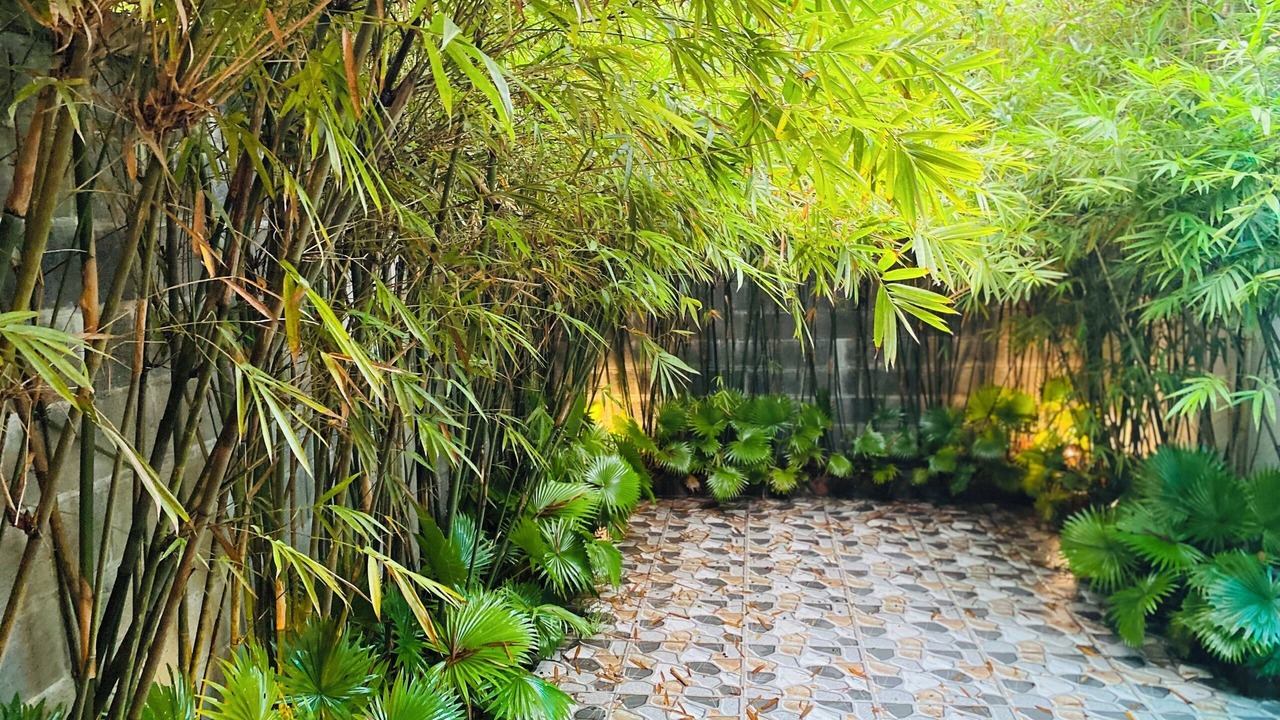 Photo of Outdoor in Hoa Vang