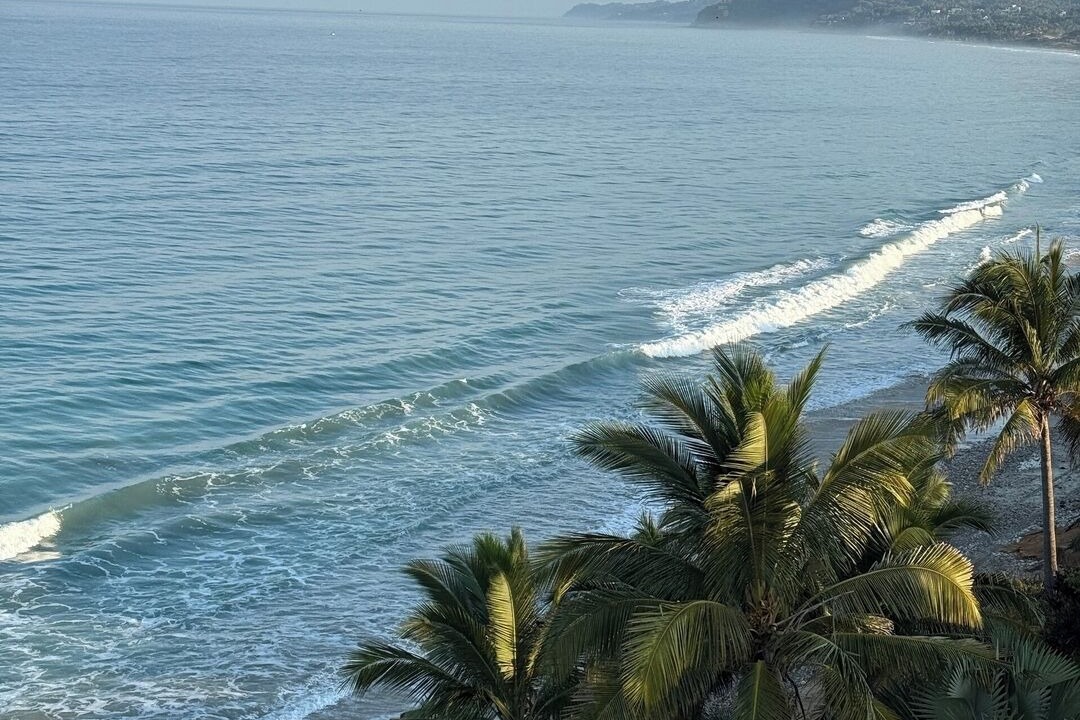 Photo of Others in Punta Negra
