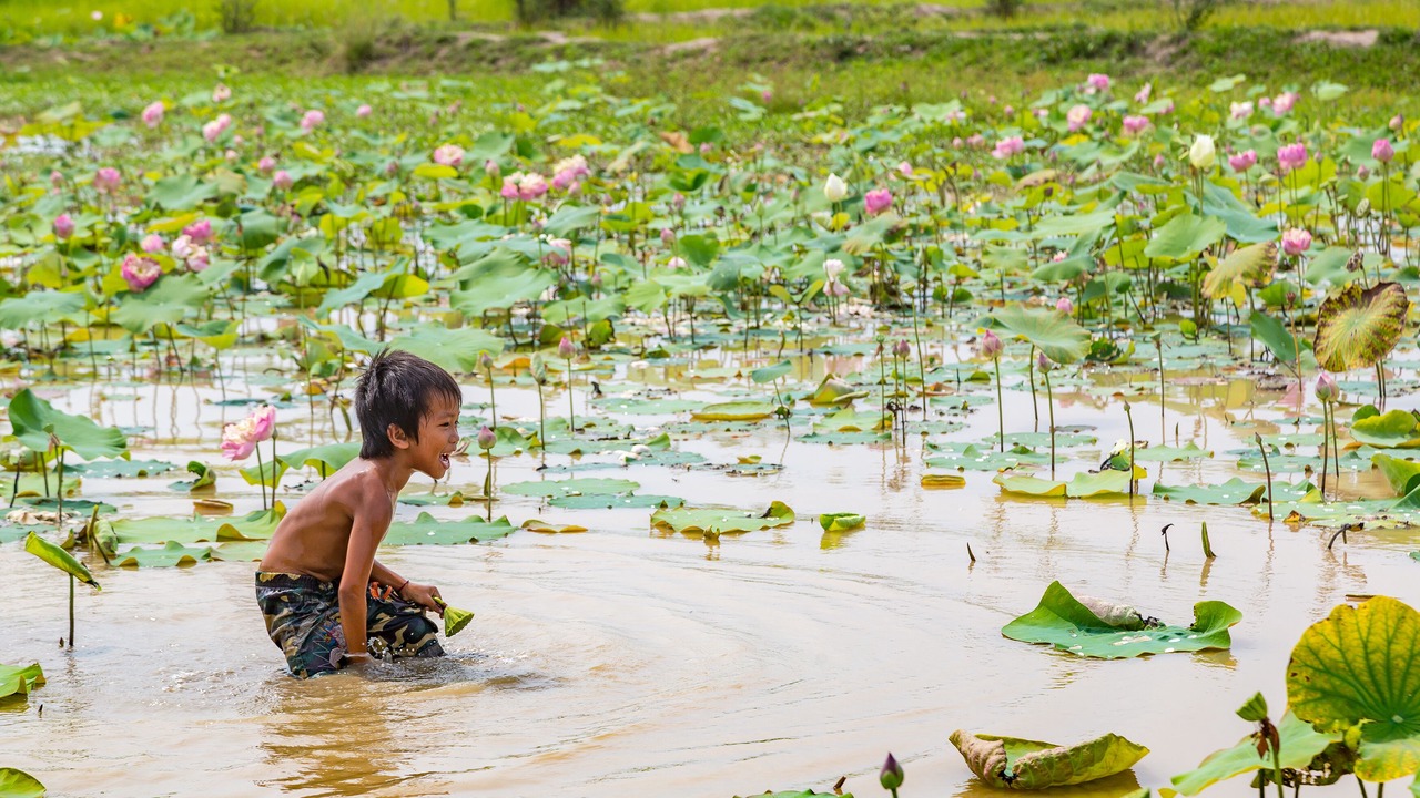 Photo of Others in Downtown Siem Reap