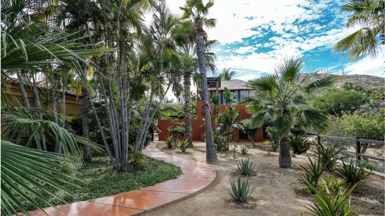 Photo of Outdoor in Downtown San Jose del Cabo