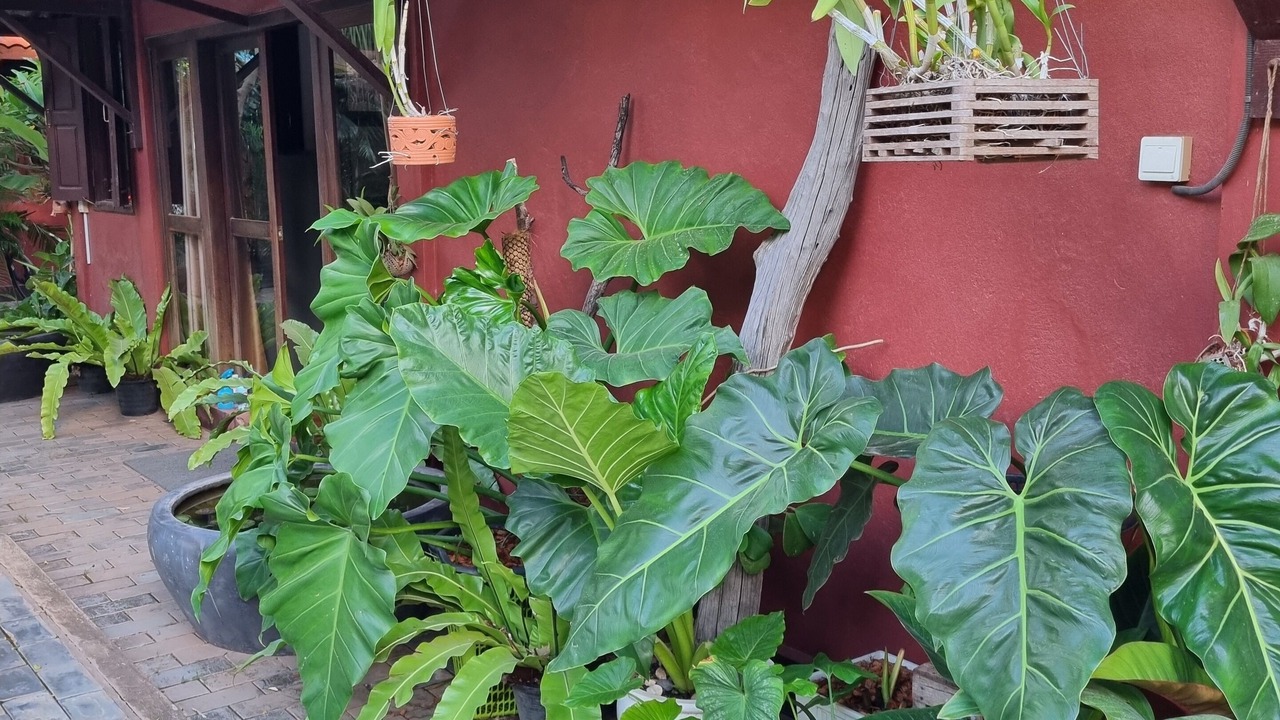 Photo of Outdoor in Siem Reap