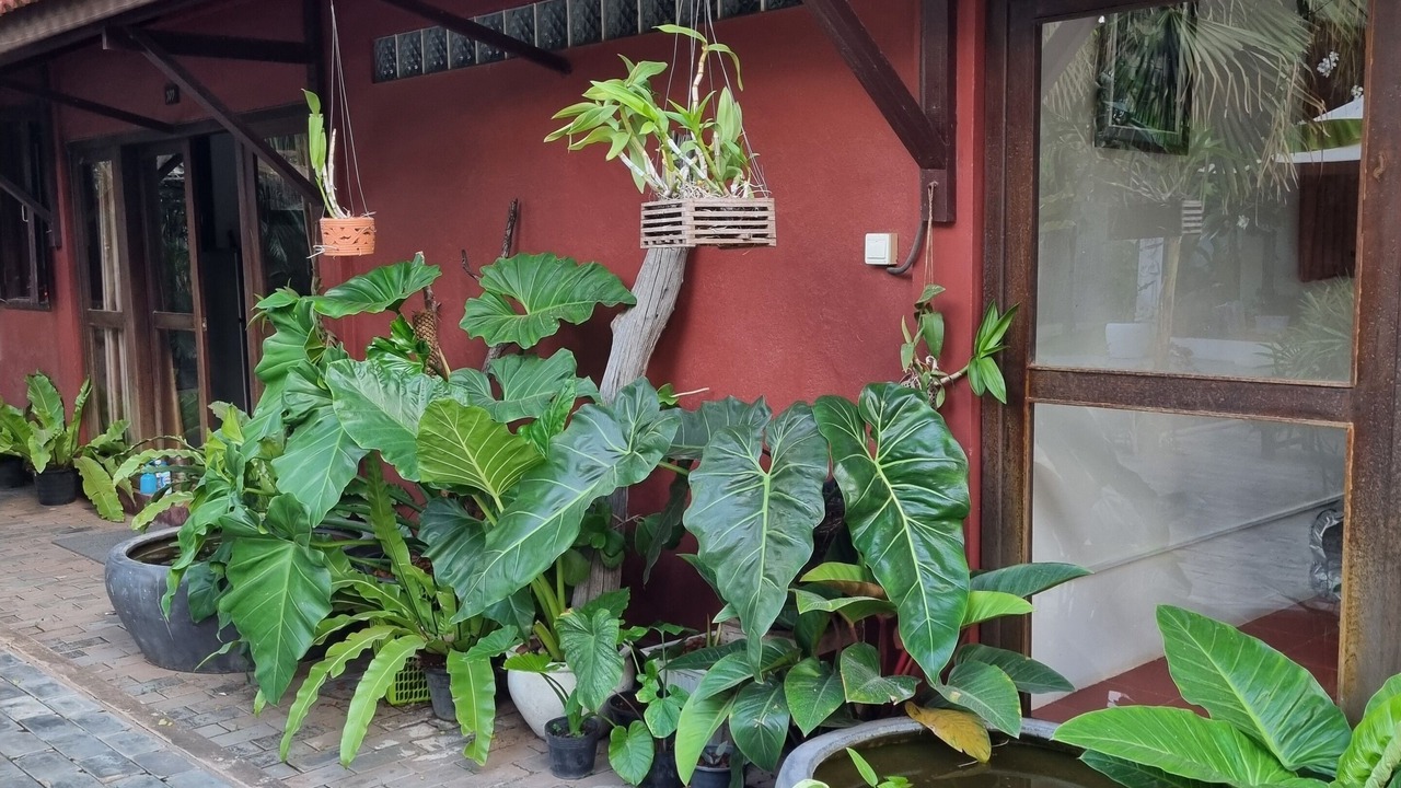 Photo of Outdoor in Siem Reap