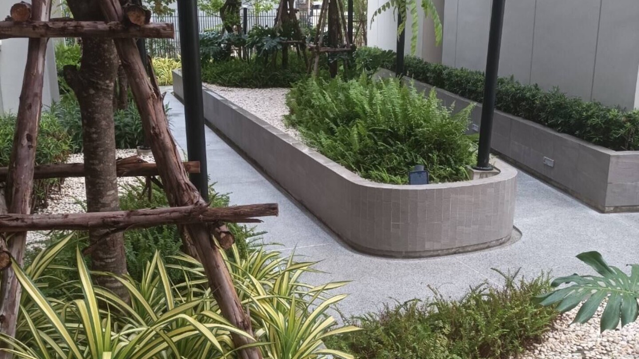 Photo of Outdoor in Bang Wa